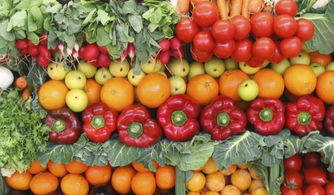 详解突尼斯农产品 食品 农机领域的巨大市场机会 中非贸易研究中心
