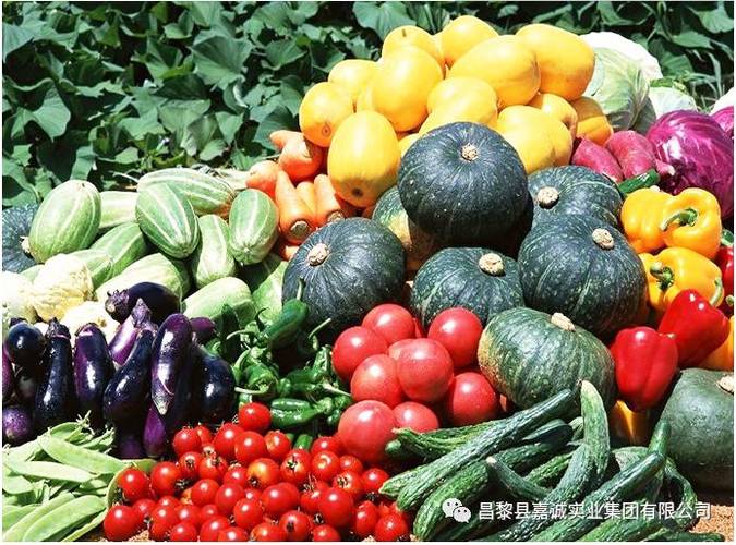 嘉诚集团农副产品批发市场今日蔬菜价格