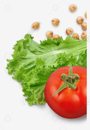 生菜番茄绿色蔬菜