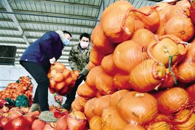 在河南万邦国际农产品物流城,工作人员在整理蔬菜. 新华社发
