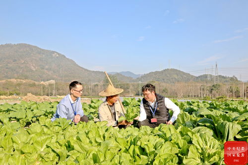 镜头 监督在身边 节日不打烊